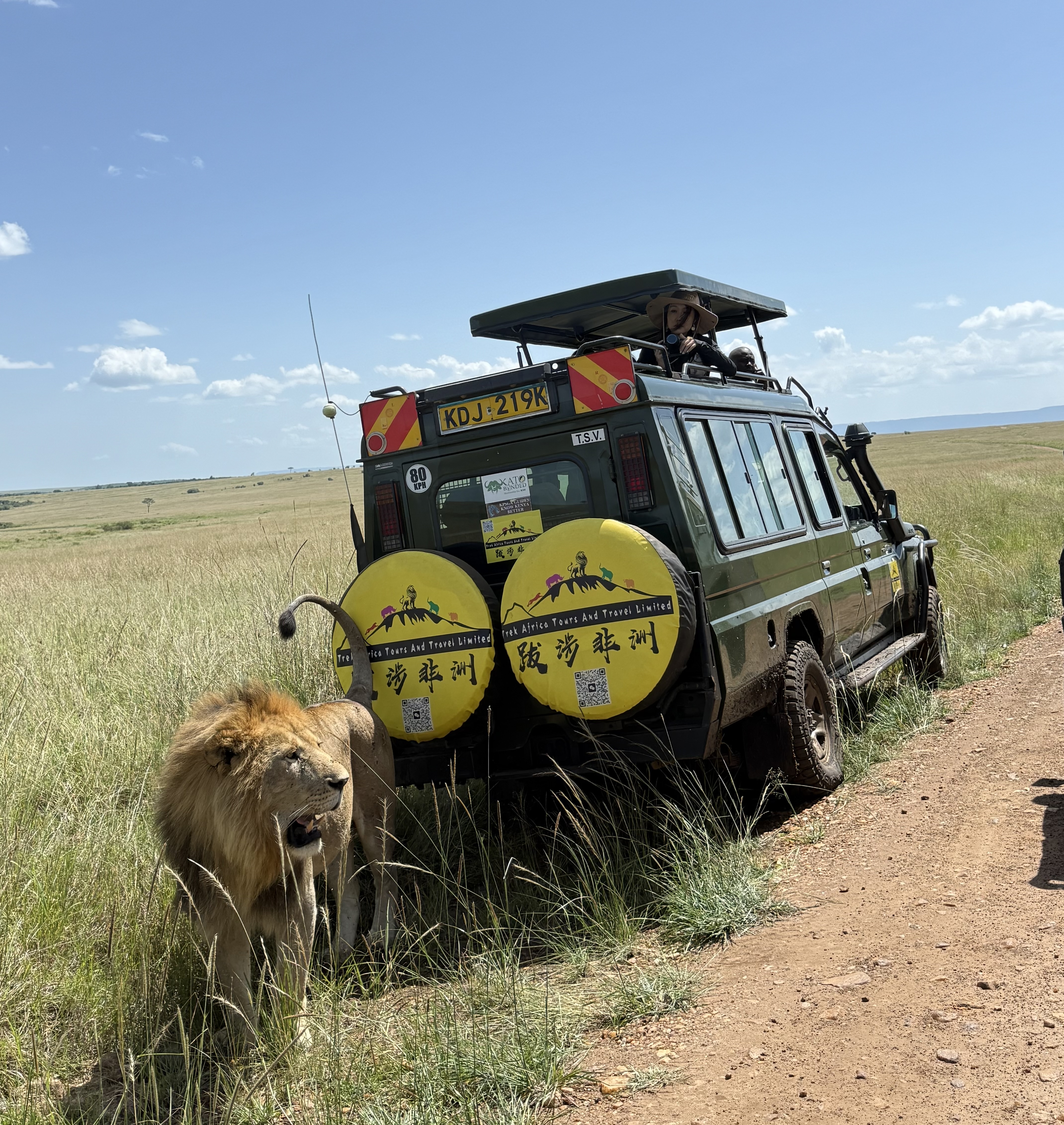 Trek Africa Tours & Travel Limited